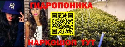 дмт Малоярославец